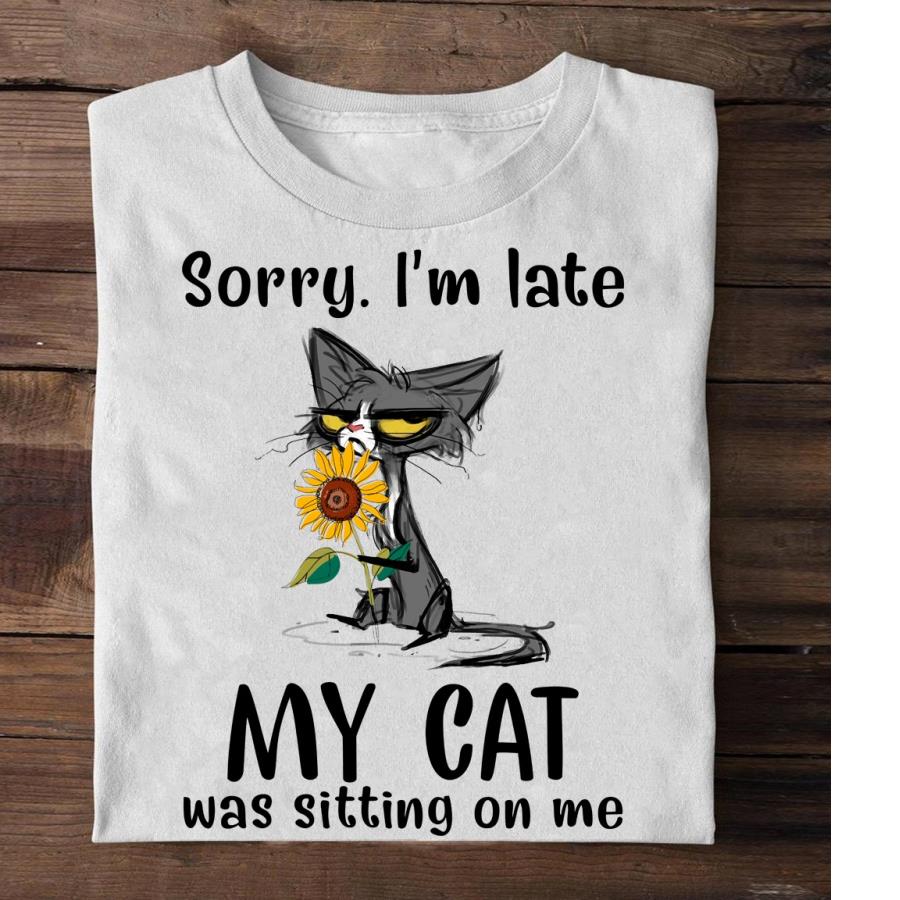 Black cat hug flower sorry I_m late my cat was sitting on me s unisex, hoodie, sweatshirt