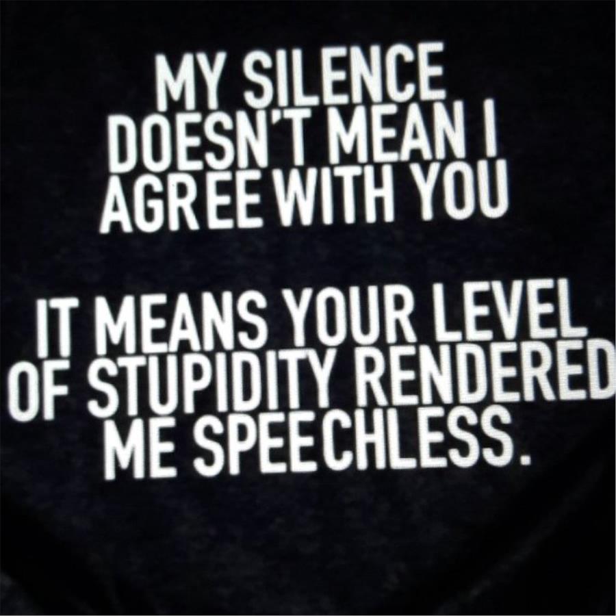 My silence doesn't mean I agree with you it means your level of stupidity rendered me speechless shirt