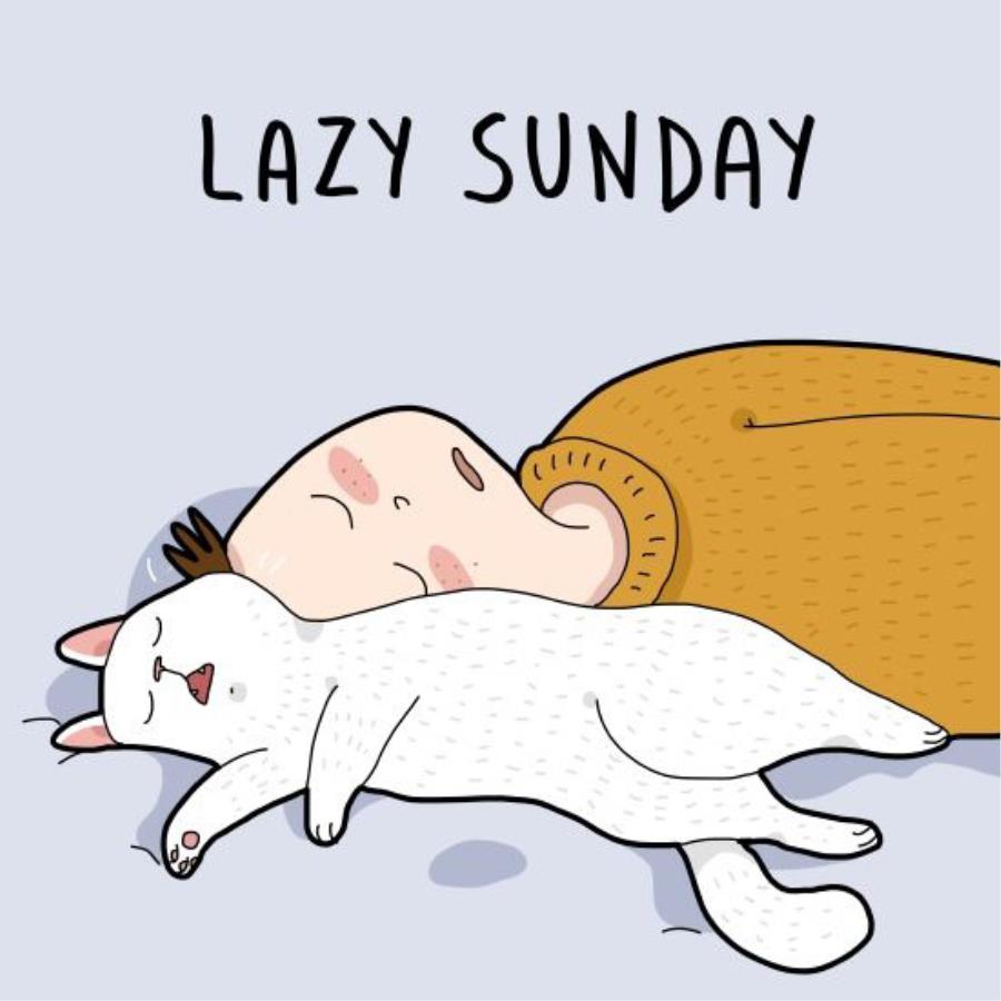 Lazy sunday human and cat sleeping s unisex, hoodie, sweatshirt Lazy sunday human and cat sleeping s unisex, hoodie, sweatshirt