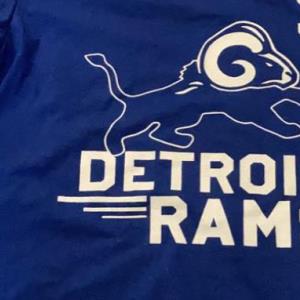 Detroit Rams Inspired Shirt, hoodie, sweater, long sleeve and tank top