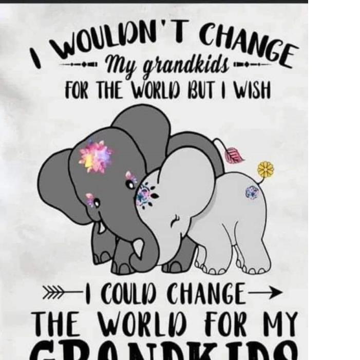 Elephant mon and kid I wouldn't Change My Grandkids For The World But I Wish I could change The World For My Grandkids Shirt