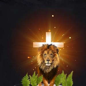 Lion and Sheep Thank God Love Jesus s unisex, hoodie, sweatshirt