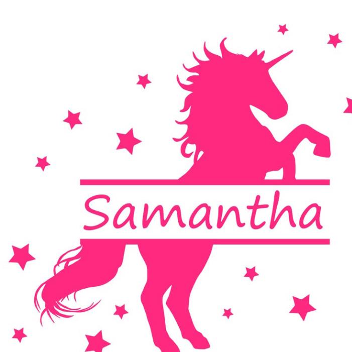 Samantha Unicorn Shirt