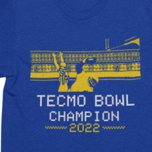 tecmo bowl hoodie