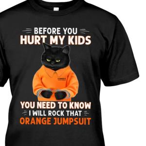 Before You Hurt My Kid You Need To Know I Will Rock That Black Cat Shirt unisex, hoodie, sweatshirt