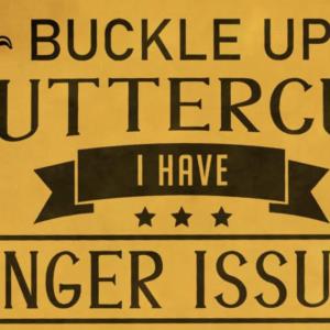 Buckle Up Butter Cup I Have Anger Issues Stupid People Shirt unisex, hoodie, sweatshirt