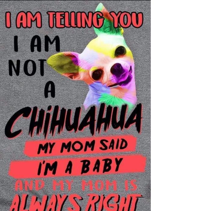 I am Telling You I Am Not An Chihuahua Shirt