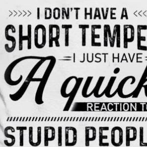 I Don’t Have A Short Temper I Just Have A Quick Reaction To Stupid People Shirt unisex, hoodie, sweatshirt