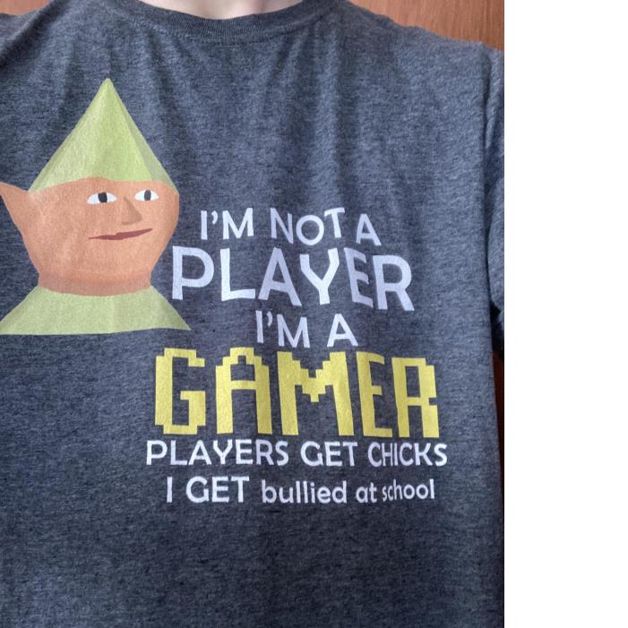 I'm Not A Player I'm A Gamer Players Get Chicks I Get Bullied At School Shirt