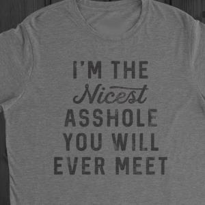 I'm The nicest asshole you will ever meet s unisex, hoodie, sweatshirt