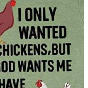 I Only Want 10 chickens but If God Wants Me To Have 20 Then 40 It is chicken s unisex, hoodie, sweatshirt