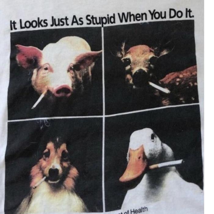 It Looks Just As Stupid When You Do It Minnesota Department of Health Pig Dog Duck Shirt