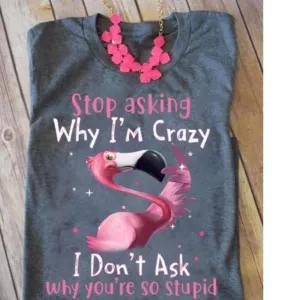 Stop Asking Why I'm Crazy I Don't Ask Why you so stupid Shirt