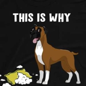 This is why i can't have s unisex, hoodie, sweatshirt