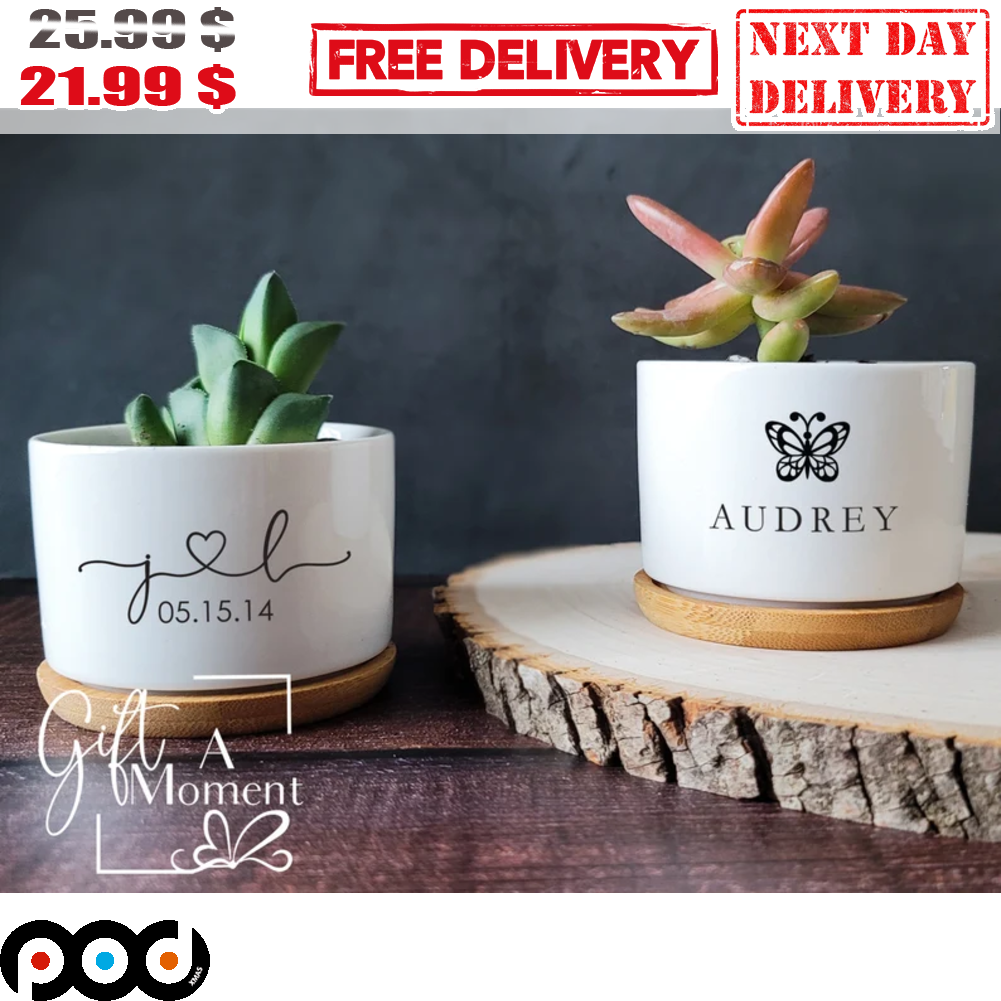 Personalized Minimalist Succulent Gift Box Custom Date Plant Pot Mother's Day Gift