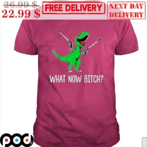 Dinosaur What Now Bitch Shirt