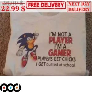Sonic I'm Not A Player I'm A Gamer Players Get Chicks I Get Bullied At School Shirt