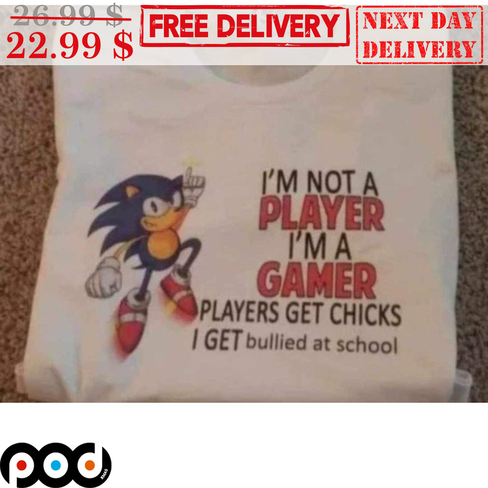 Sonic I'm Not A Player I'm A Gamer Players Get Chicks I Get Bullied At School Shirt