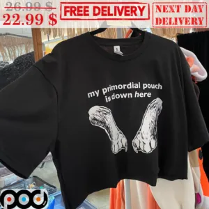 Hands My Primordial Pouch Is Down Here Shirt