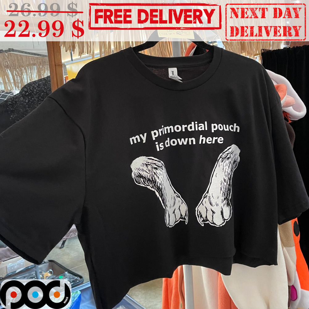 Hands My Primordial Pouch Is Down Here Shirt