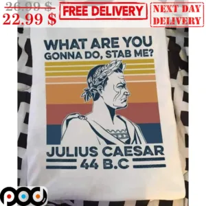 What Are You Gonna Do Stab Me Julius Ceasar 44 B.C Vintage Shirt