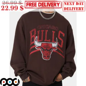Chicago Bulls Logo NBA Vintage Shirt
