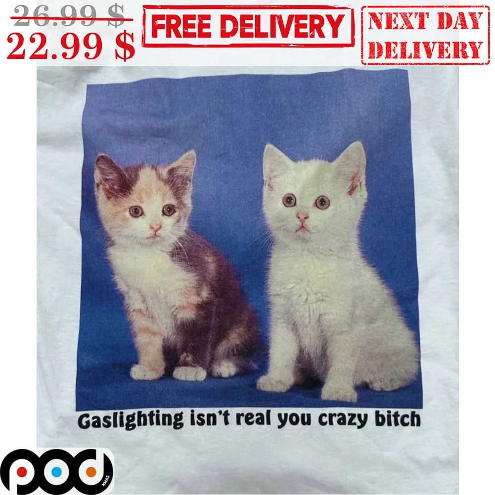 Cute Cat Gaslighting Isn't Real You Crazy Bitch Shirt