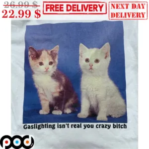 Cute Cat Gaslighting Isn't Real You Crazy Bitch Shirt