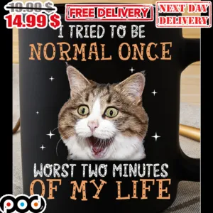 Cat I Tried To Be Normal Once Worst Two Minutes Of My Life Mug