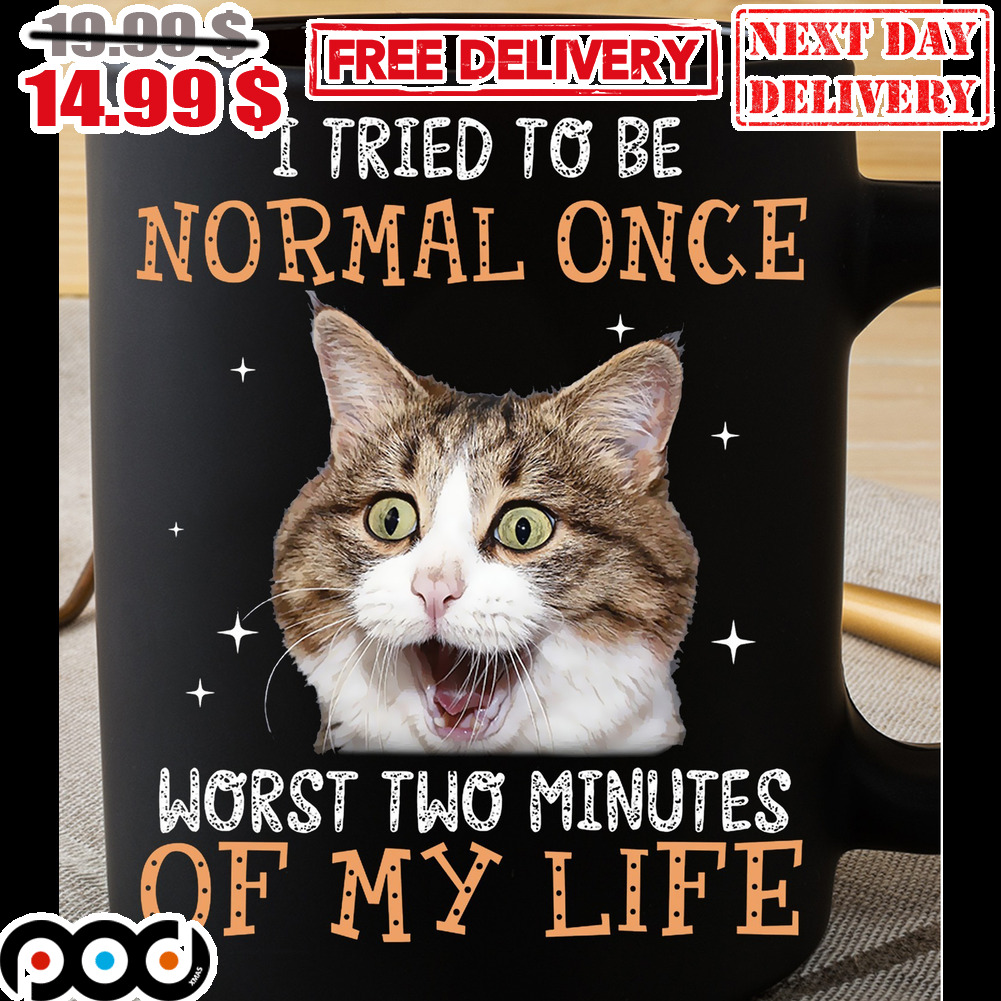 Cat I Tried To Be Normal Once Worst Two Minutes Of My Life Mug