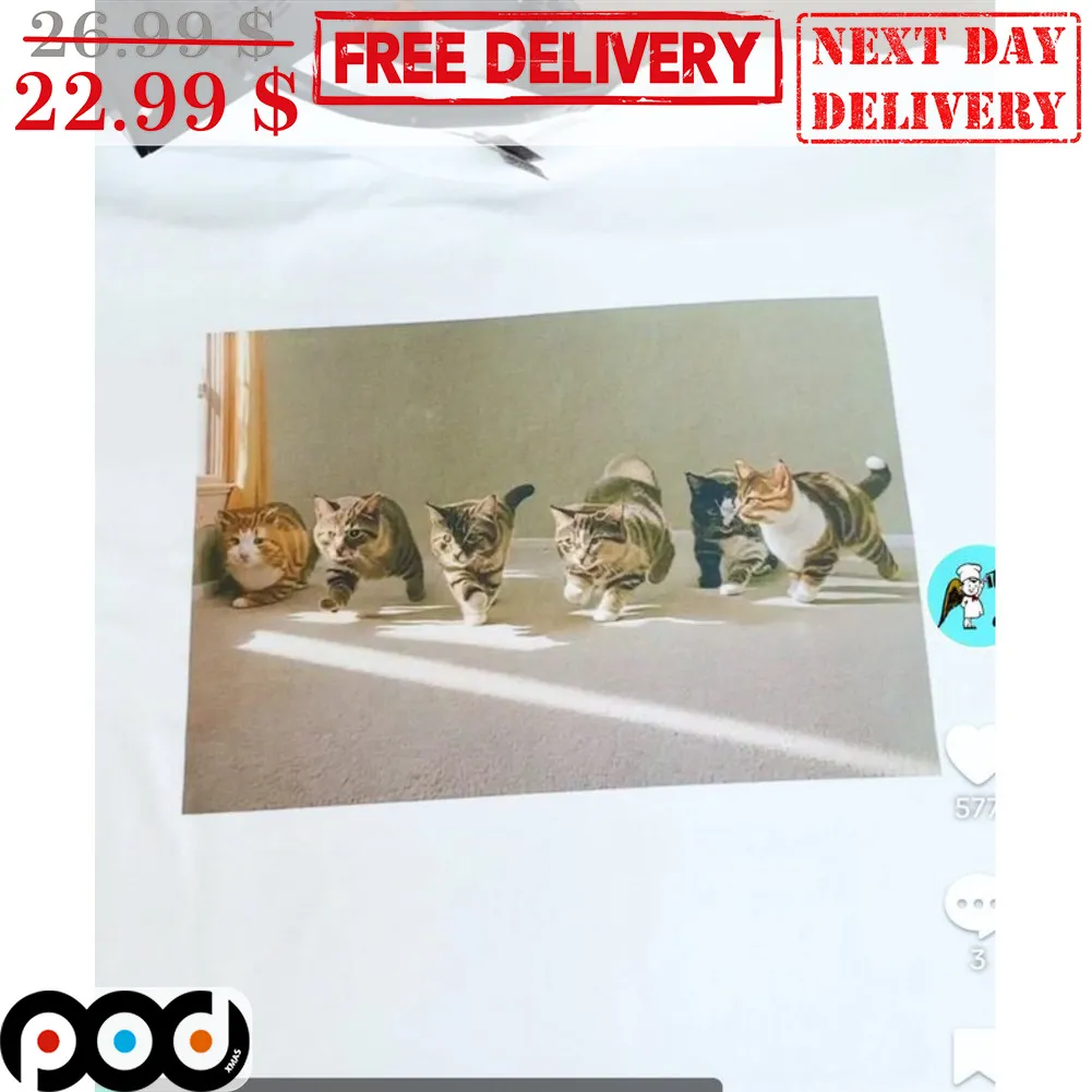 Cats Gay Sex Fun Shirt