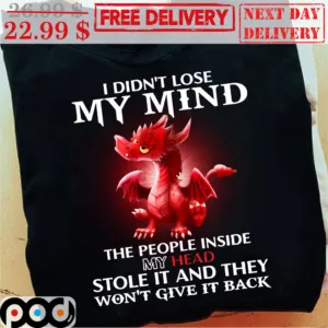 Dragon I Didn't Lose My Mind The People Inside My Head Stole It And They Won't Give It Back Shirt