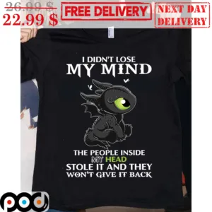 Toothless I Didn't Lost My Mind The People Inside My Head Stole It And They Won't Give It Back Shirt