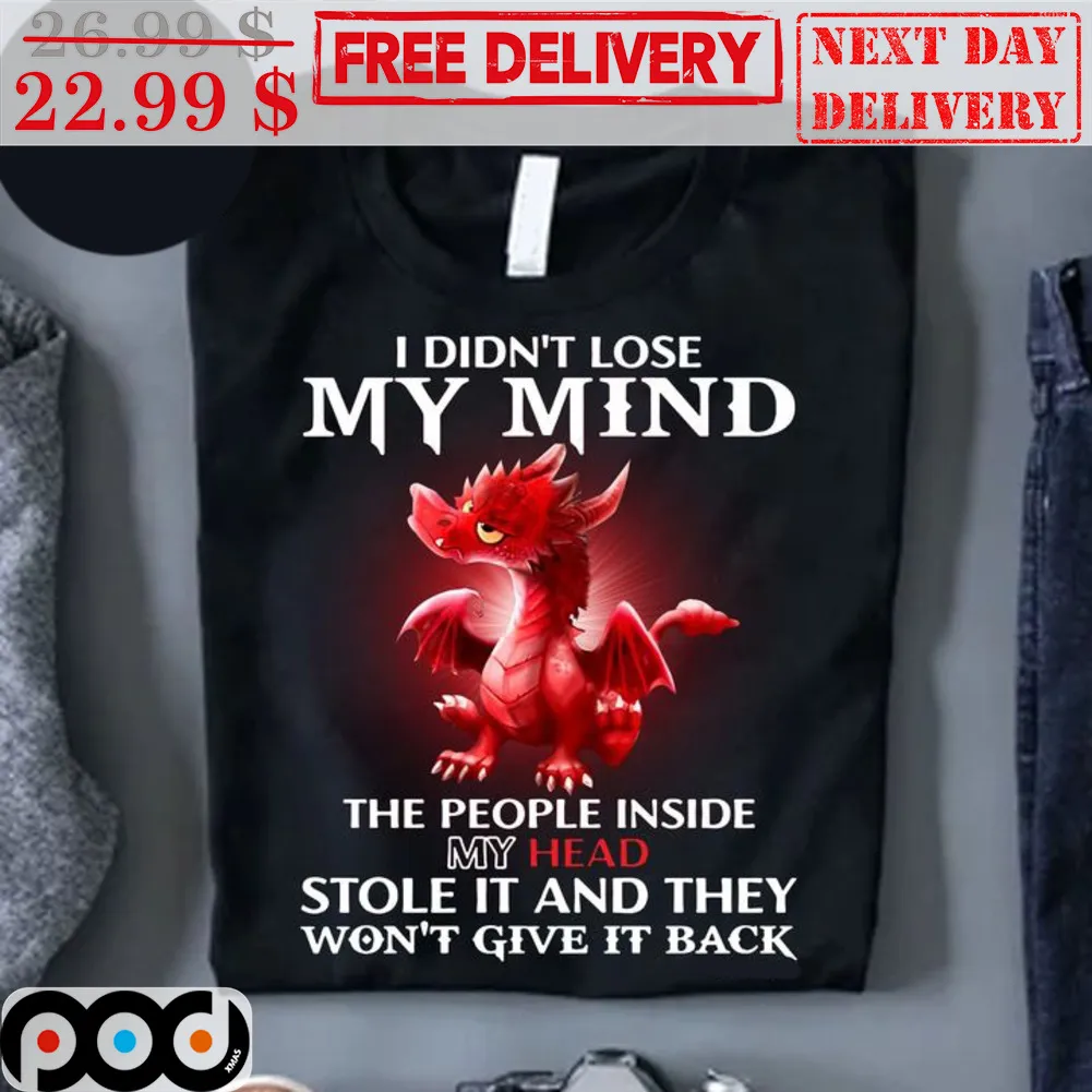 Baby Dragon I Didn't Lose My Mind The People Inside My Head Stole It And They Won't Give It Back Shirt