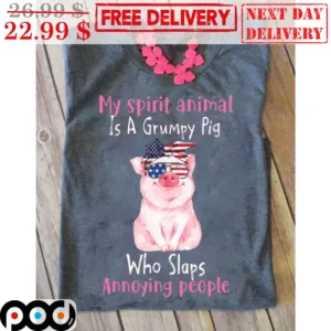 My Spirit Animal Is A Grumpy Pig Who Slaps Annoying People Shirt