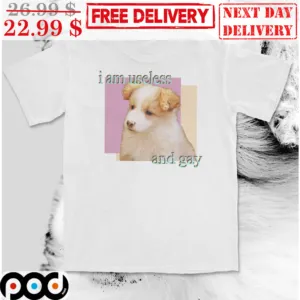 I Am Useless And Gay Shirt