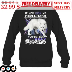 Wolf If You Kick Me When I Am Down You Better Pray I Don't Get Up Shirt