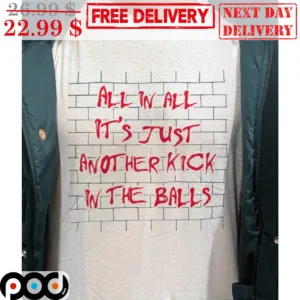 All In All It's Just Another Kick In The Balls Shirt