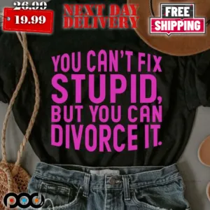 You Can't Fix Stupid But You Can Divorce It Shirt