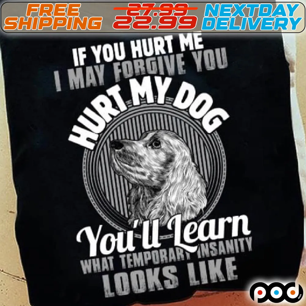 If You Hurt Me May Forgive You Aurt My Dog You'll Learn What Temporart Insanity Looks Like Shirt