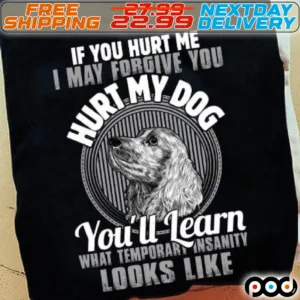 If You Hurt Me May Forgive You Aurt My Dog You'll Learn What Temporart Insanity Looks Like Shirt