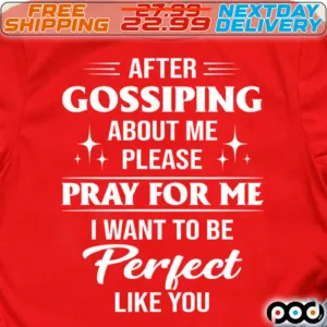 After Gossiping About Me Please Pray For Me I Want To Be Perfect Like You Shirt