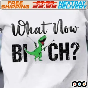 Dinosaur What Now Bitch Shirt