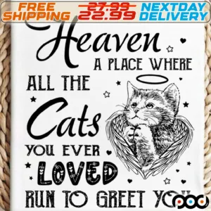 Heaven A Place Where All The Cats You Ever Loved Run To Greet You Shirt