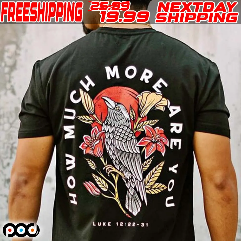 Raven How Much More Are You Shirt