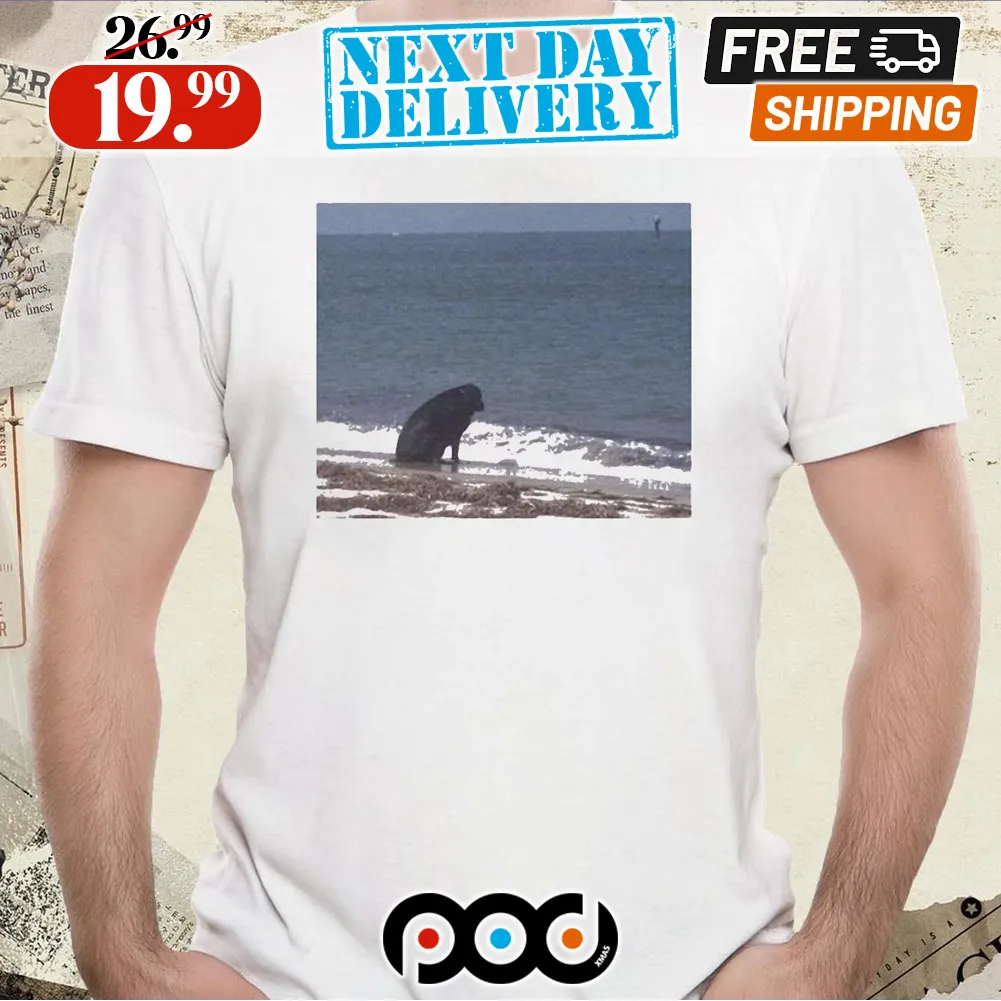 Sad Dog At The Beach Meme Shirt