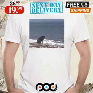 Sad Dog At The Beach Meme Shirt