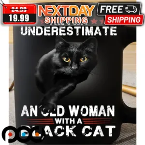 Never Underestimate An Old Woman With A Black Cat Mug