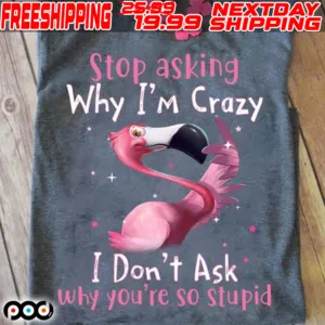 Flamingo Stop Asking Why I’m Crazy I Don’t Ask Why You’re So Stupid Shirt