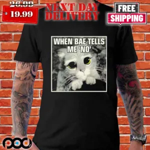 Kohls When Bae Tells Me No Meme Shirt